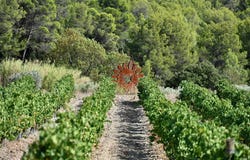 Minerve, Languedoc-Roussillon 34210