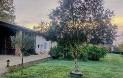Lamothe-Capdeville, Midi-Pyrénées 82130