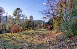Branoux-les-Taillades, Occitanie 30110