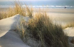 Zuydcoote, Nord-Pas-de-Calais 59123