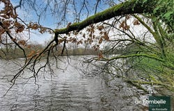 Magny-le-Désert, Lower Normandy 61600