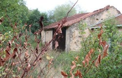 Gemonville, Lorraine 54115
