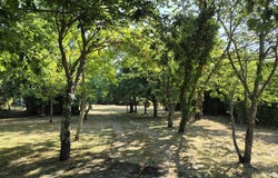 Montaner, Aquitaine 64460