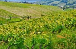 Juliénas, Rhône-Alpes 69840