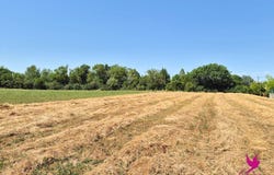 Le Burgaud, Haute-Garonne 31330