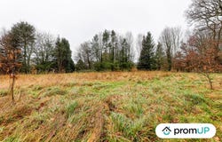 Peyrilhac, Nouvelle-Aquitaine 87510