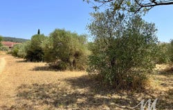 Tavernes, Var 83670