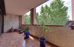 MONTAUBAN, Occitanie 82000