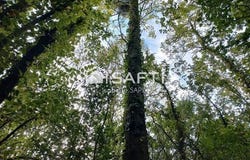 Jaunay Marigny, Poitou-Charentes 86130