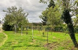 Chézy, Auvergne 03230