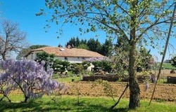 Lavit, Midi-Pyrénées 82120