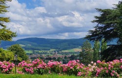 Cluny, Burgundy 71250