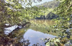 Les Vans, Ardèche 07140