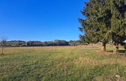 Saint-Macaire, Aquitaine 33490
