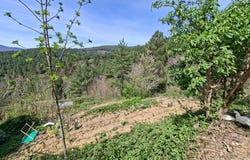 Aujac, Languedoc-Roussillon 30450