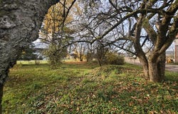Archettes, Lorraine 88380