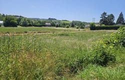 Tence, Haute-Loire 43190