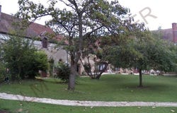 Soucy, Burgundy 89100