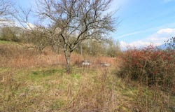 Surjoux, Ain 01420