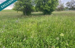 Aillianville, Champagne-Ardenne 52700