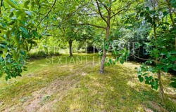 Campagne-sur-Aude, Aude 11260