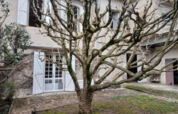 Gaillac, Tarn 81600
