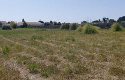 Bourcefranc-le-Chapus, Poitou-Charentes 17560