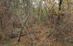 Gièvres, Centre 41130