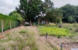 Anche, Centre 37500