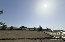 Montirat, Midi-Pyrénées 81190