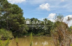 Dange-Saint-Romain, Poitou-Charentes 86220
