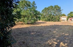 Mauze-Sur-Le-Mignon, Poitou-Charentes 79210