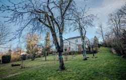 SOULTZ HAUT RHIN, Grand Est 68360