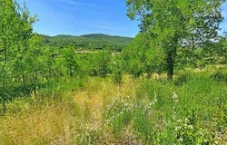 Herepian, Languedoc-Roussillon 34600