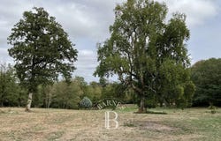 Bellac, Limousin 87300