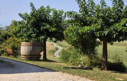 Ponsan-Soubiran, Midi-Pyrénées 32300