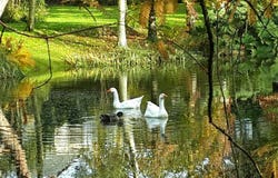 Langon, Brittany 35660
