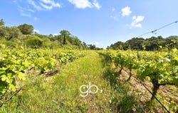 Sommières, Languedoc-Roussillon 30250