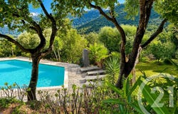Monticello, Corsica 20220
