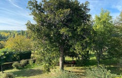 Saint-Pierre-de-Côle, Aquitaine 24800