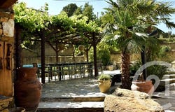Patrimonio, Corsica 20253