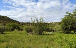 Saint-Bonnet-du-Gard, Occitanie 30210