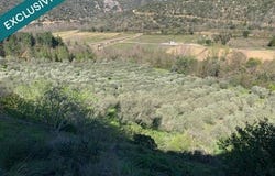 Ansignan, Languedoc-Roussillon 66220