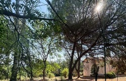 Los Masos, Languedoc-Roussillon 66500