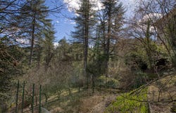 Chamborigaud, Occitanie 30530