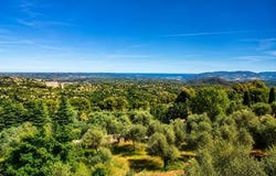 Grasse, Alpes-Maritimes, France, Grasse, Provence-Alpes-Côte d'Azur 06130