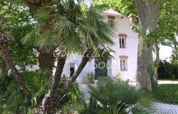 Perpignan, Languedoc-Roussillon 66000