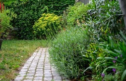 Tours, Centre-Val de Loire 37000