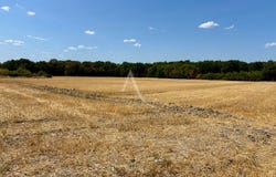 CHEMERY, Centre-Val de Loire 41700