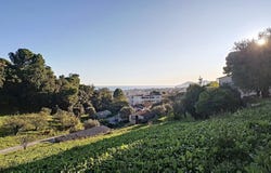 Le Cannet, Alpes-Maritimes 06110